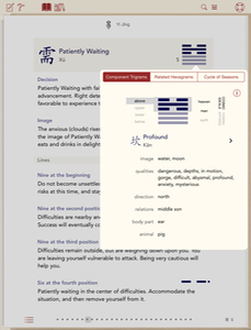 iPad portrait hexagram-detail